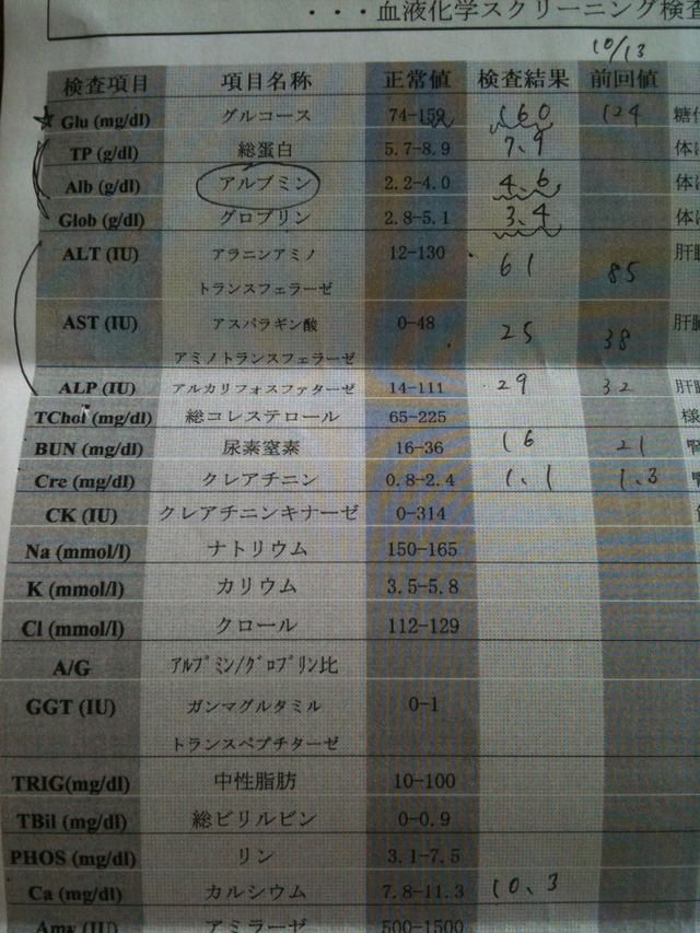 29日目  リンパ球が増加傾向_e0247977_14272165.jpg