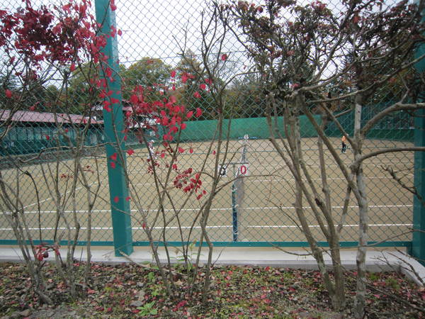 c0218879_23201183.jpg