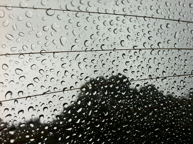 a0118289_20242872.jpg