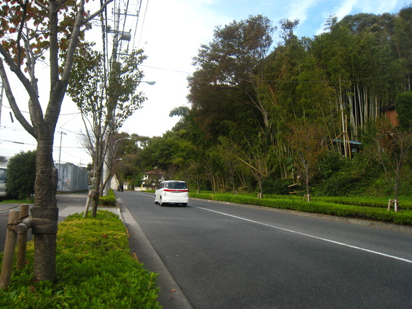 d0224990_18264972.jpg