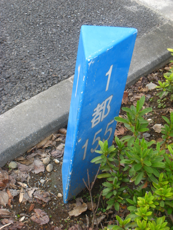 d0224990_1828821.jpg