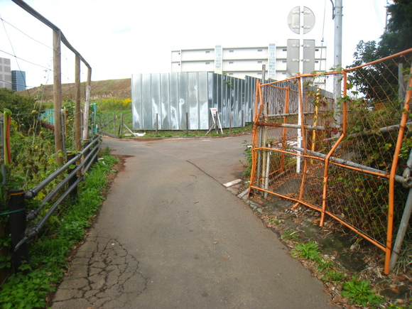 d0224990_19114782.jpg
