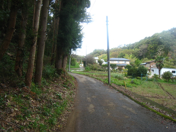 d0224990_193101.jpg