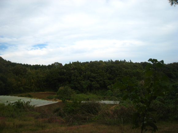 d0224990_1972382.jpg