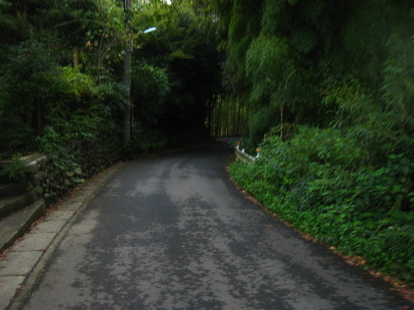 d0224990_2035425.jpg