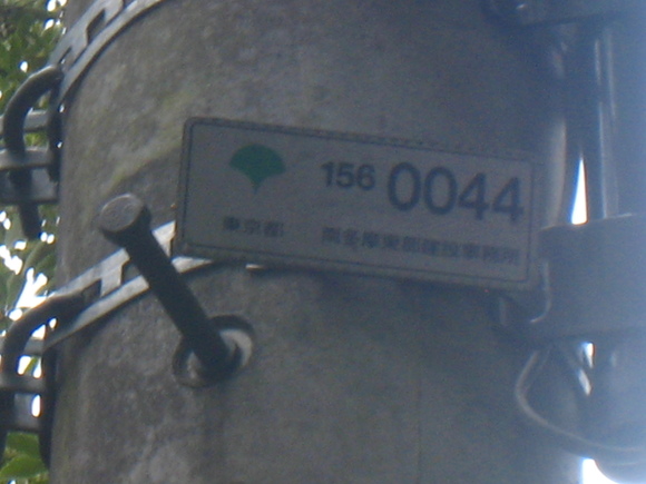d0224990_205332.jpg