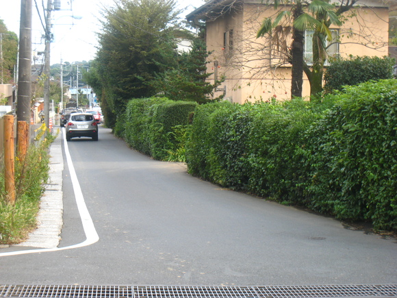 d0224990_2065017.jpg