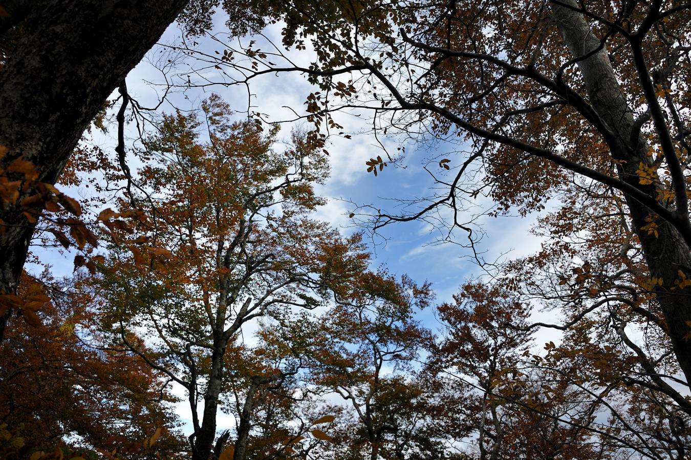 c0138991_1526082.jpg
