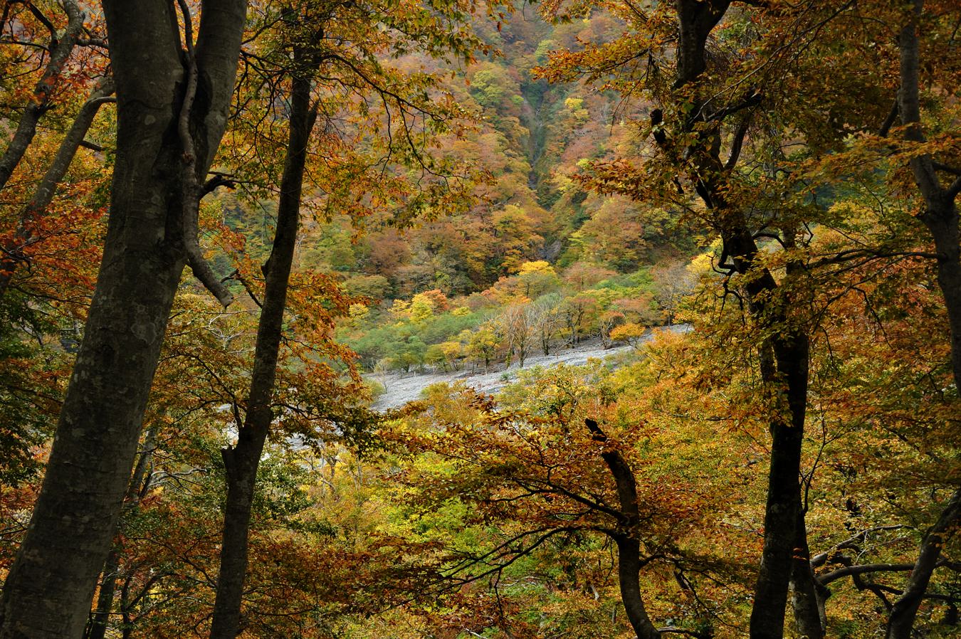 c0138991_15852.jpg