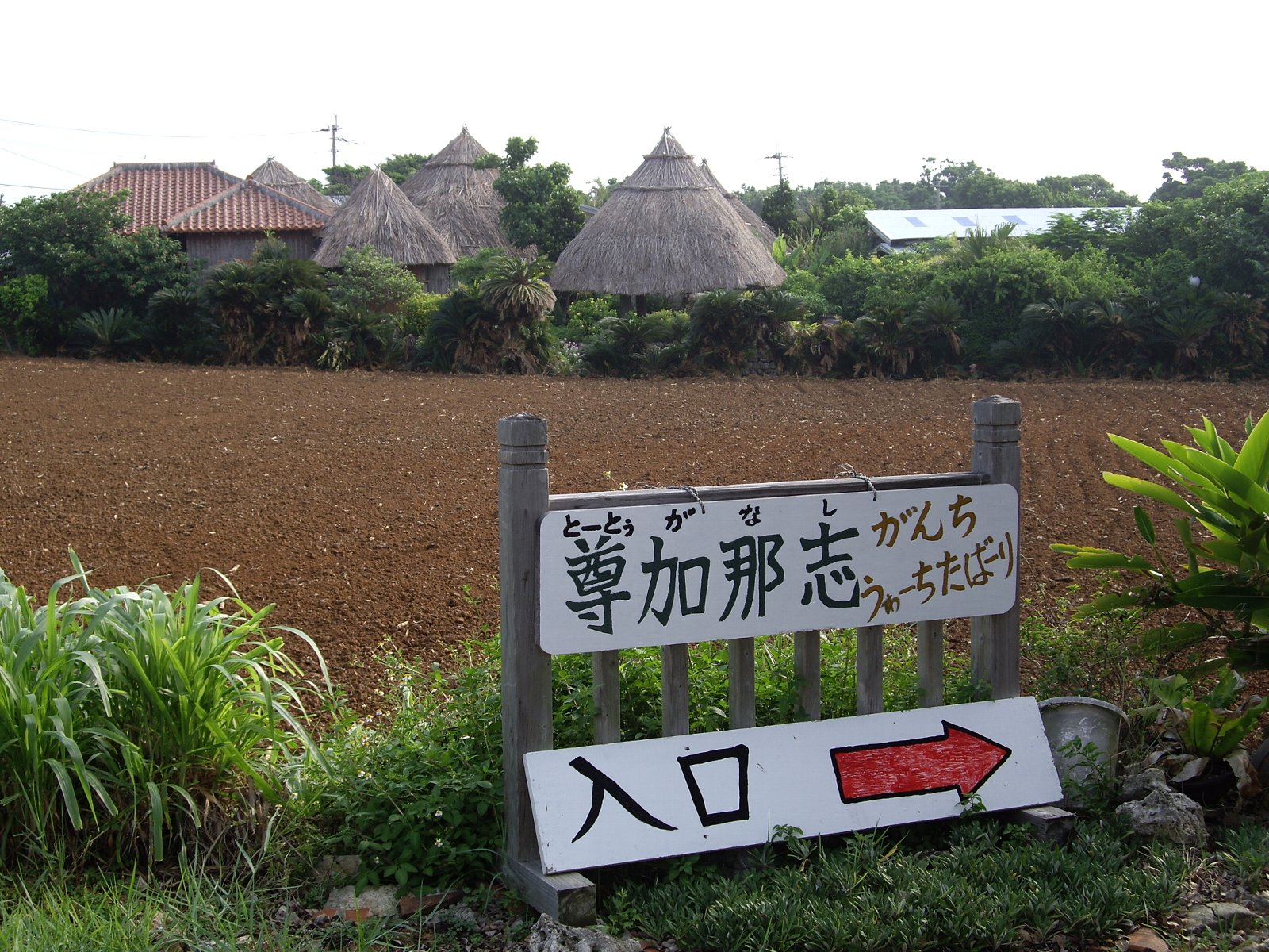 【与論島再生のアイデア（１４）】学校で与論島の歴史・文化を教えよう！_e0032991_10195694.jpg