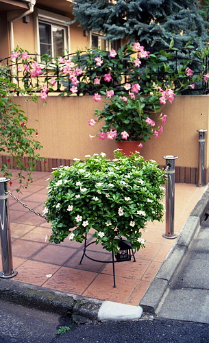 c0214494_9262585.jpg