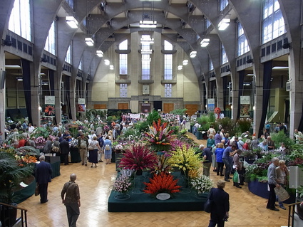 RHS London Autumn Harvest Show 2011_f0229399_2503411.jpg