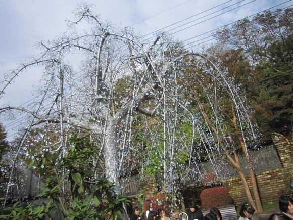 芸術の秋、食欲の秋_c0125702_224151100.jpg