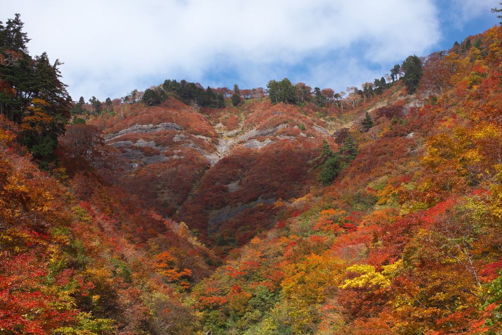 １０月１８日白山スーパー林道へ行ってきました。_f0000502_1922035.jpg