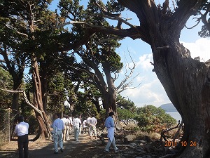 大瀬崎現地調査_d0050503_22481432.jpg