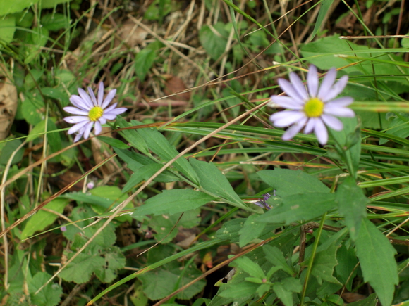 e0252905_210172.jpg