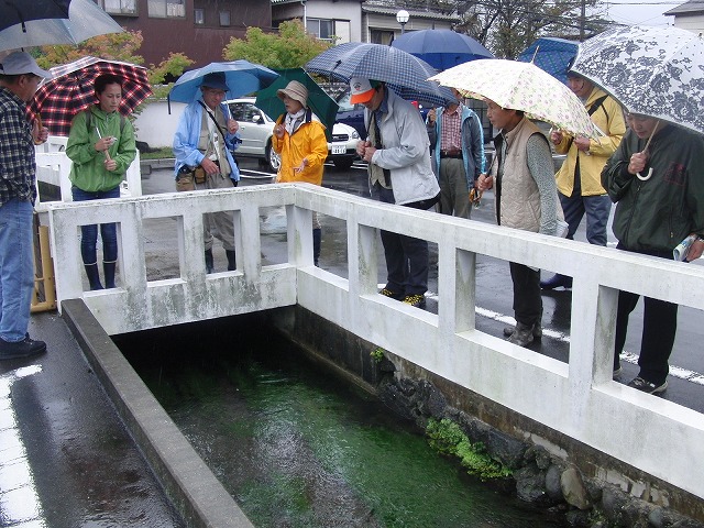 グラウンドワーク三島の皆さんが田宿川を視察訪問_f0141310_8154950.jpg
