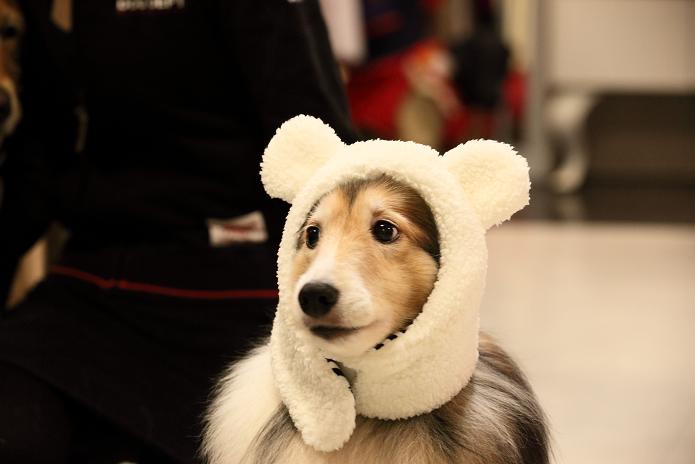 ニコタマでコスプレ♪の日曜日_c0159512_2293083.jpg