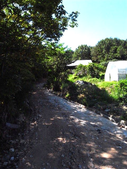 c0116714_1184434.jpg