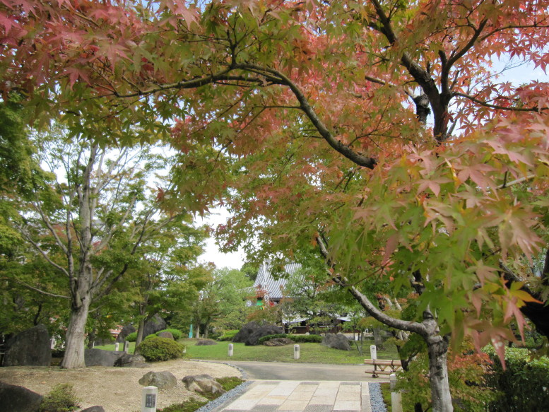 d0103314_13575917.jpg
