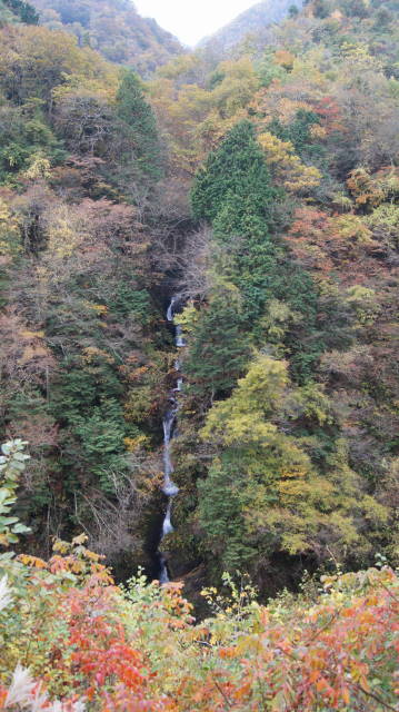 f0233414_21221489.jpg