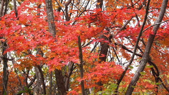 f0233414_213423.jpg