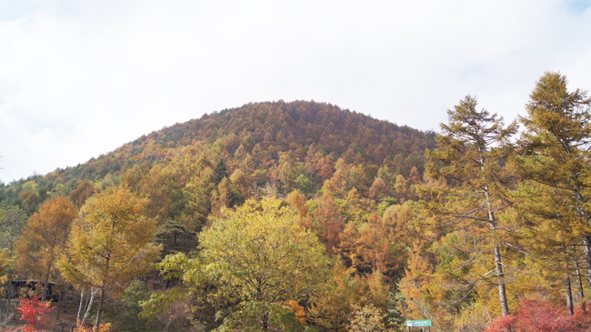 f0233414_21461223.jpg