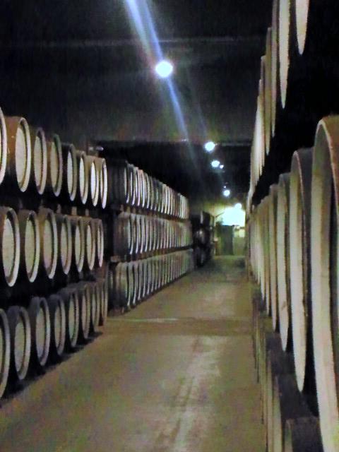 e0139318_1425327.jpg