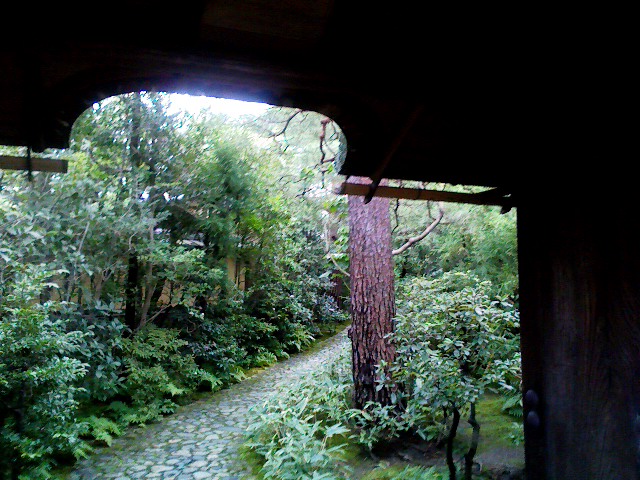 a0134323_15514730.jpg