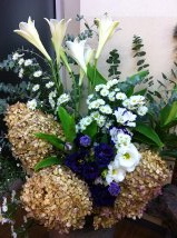 今週のお花&セール情報_a0200423_2182884.jpg