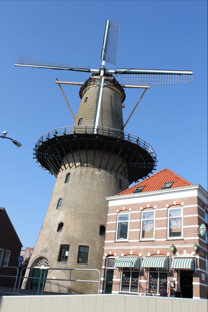 b0171423_4194080.jpg