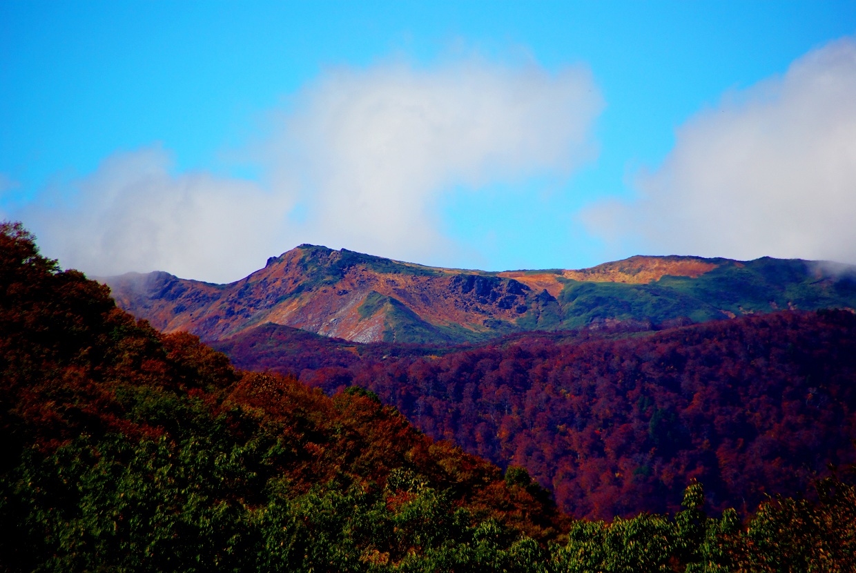 b0062024_20272916.jpg