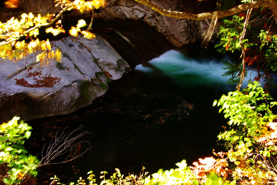 b0062024_20274851.jpg