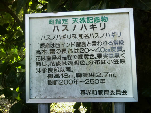 f0197325_8401828.jpg