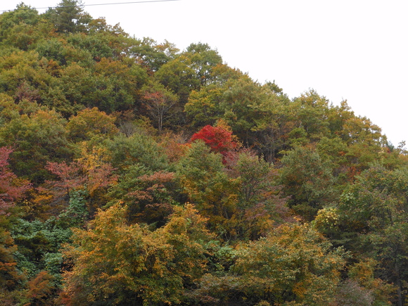 e0251426_16253891.jpg