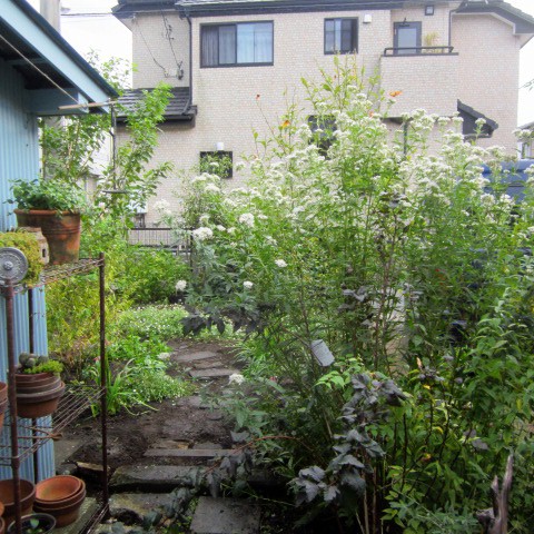 c0102228_2192140.jpg