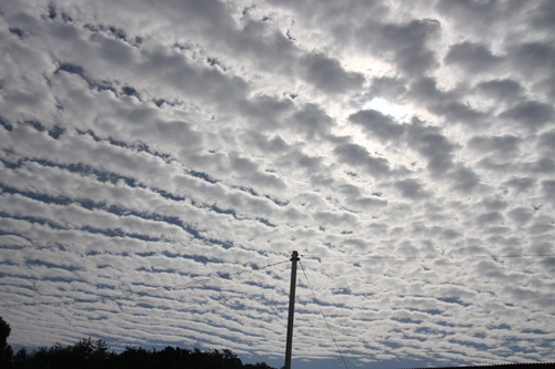 d0158028_19291260.jpg
