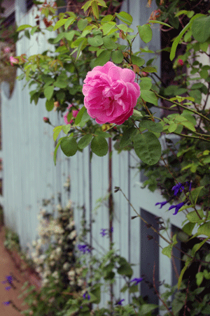 d0140329_2216747.gif