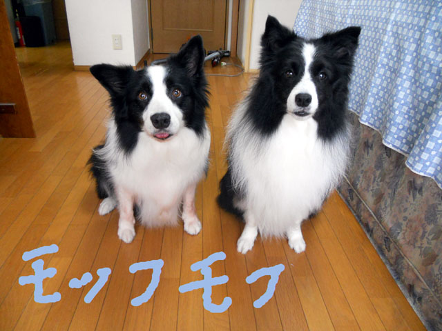 d0059230_8291962.jpg