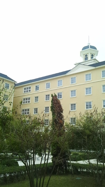 c0056932_16435960.jpg