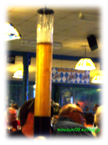 a0134535_5382880.jpg