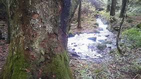f0161535_192614.jpg