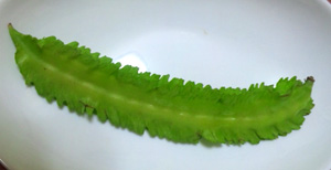a0134136_2133638.jpg