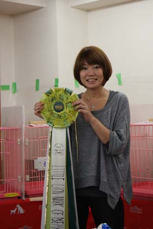 TICA&AJC CATSHOW １０月１５－１６日お礼_f0168339_23122339.jpg