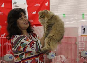 TICA&AJC CATSHOW １０月１５－１６日お礼_f0168339_23194339.jpg