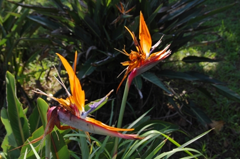 a0167341_12215760.jpg