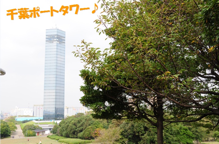 c0147241_843868.jpg