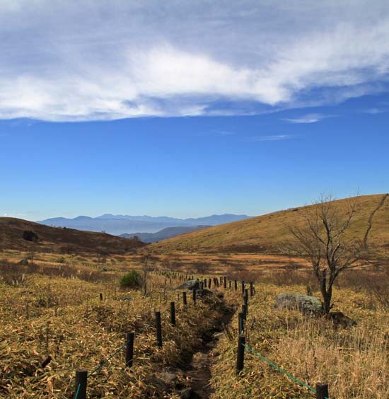 b0032444_13583848.jpg