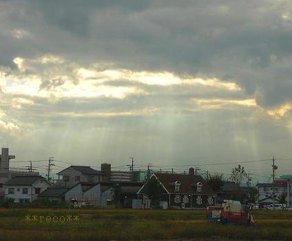 c0191852_1641442.jpg