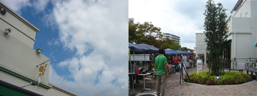 c0225153_18412079.gif